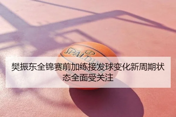 樊振东全锦赛前加练接发球变化新周期状态全面受关注